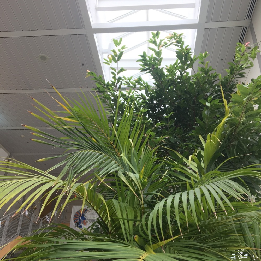 Meet your Posher, Ana